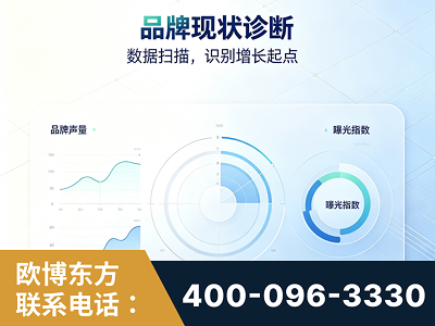 邵阳-品牌现状诊断