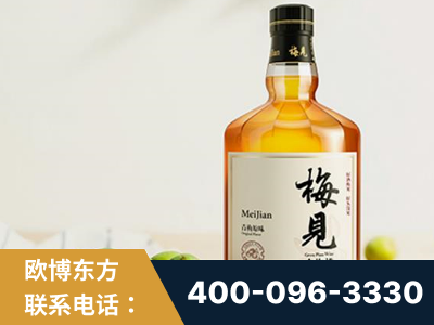 邵阳-梅见青梅酒