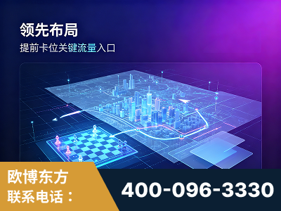 邵阳-领先布局：于2024年初开启GEO业务的公司